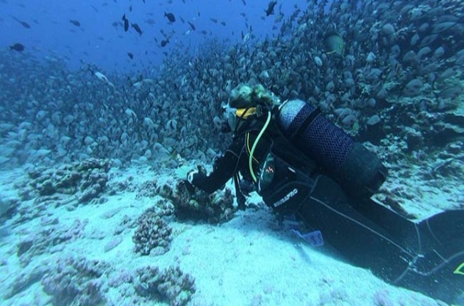 Malvan Scuba Diving and Water Sports Combo Package from Goa